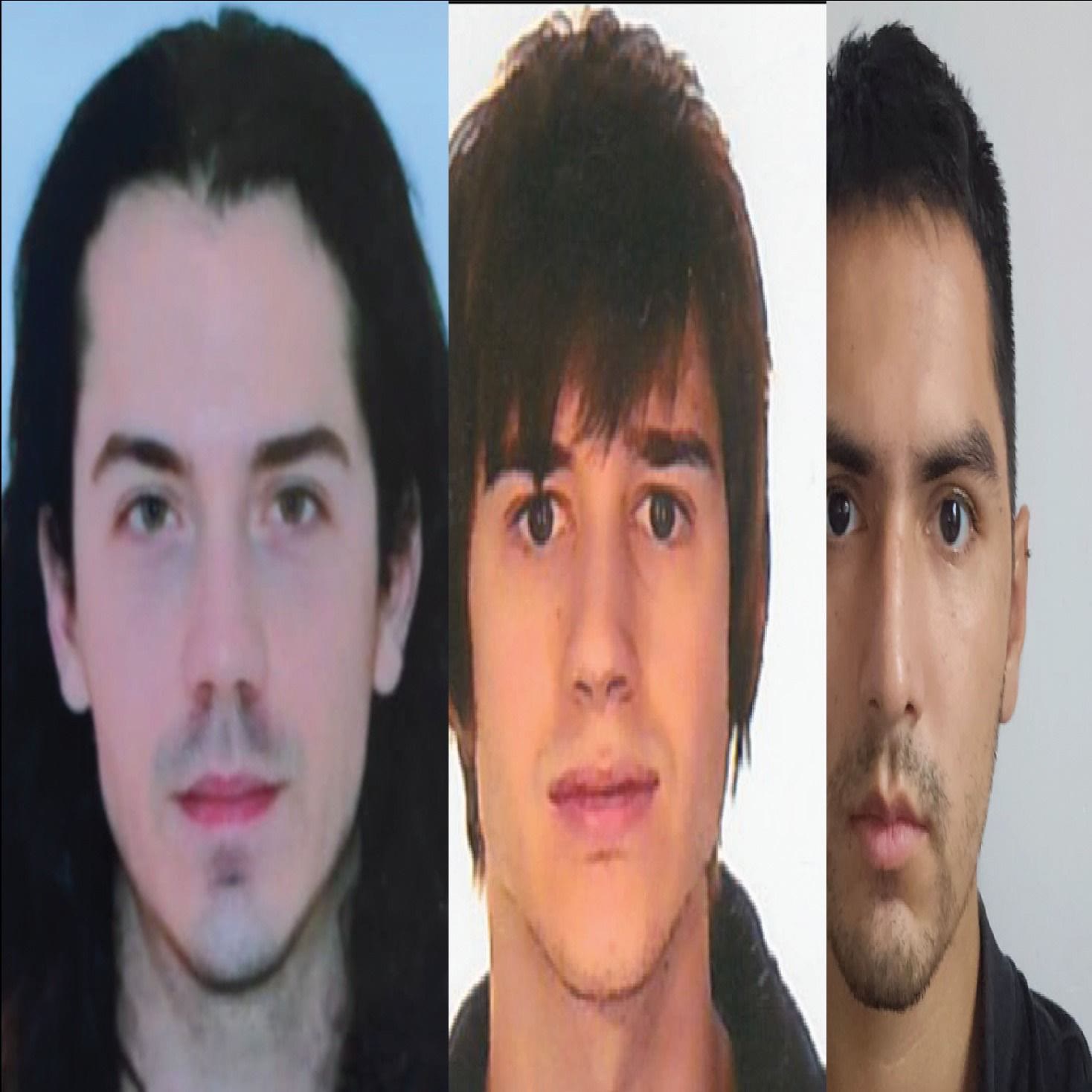 Poet Laureate members in a three-panel portrait